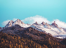 huatihui-追忆罗西:西班牙之夏金杯 成就意大利金童救赎