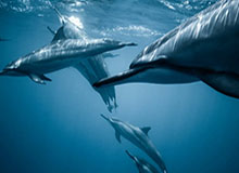 华体会-辽宁女排获第六遗憾收官 教练边攻已成球队老大难